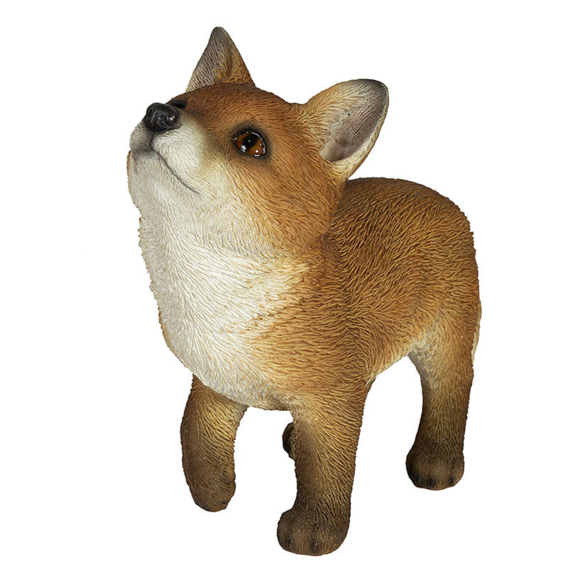 Fox Pup Looking Up Statue