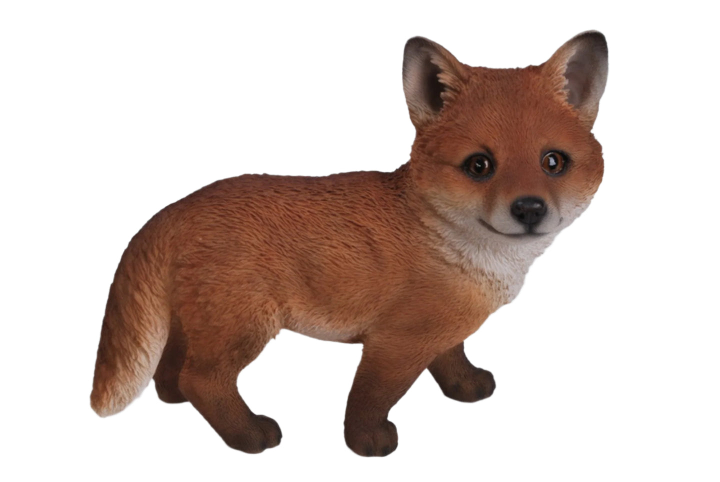 Fox Pup Standing