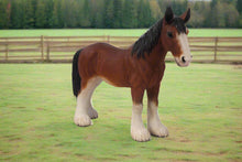 Load image into Gallery viewer, Small Draught Horse
