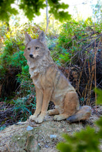 Load image into Gallery viewer, Sitting Coyote Statue (Hi-Line Exclusive)
