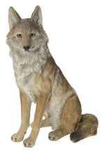 Load image into Gallery viewer, Sitting Coyote Statue (Hi-Line Exclusive)
