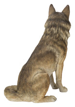 Load image into Gallery viewer, Sitting Coyote Statue (Hi-Line Exclusive)
