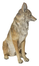 Load image into Gallery viewer, Sitting Coyote Statue (Hi-Line Exclusive)
