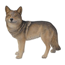 Load image into Gallery viewer, Coyote Standing
