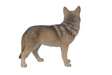 Load image into Gallery viewer, Coyote Standing
