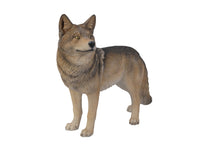 Load image into Gallery viewer, Coyote Standing
