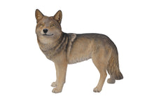 Load image into Gallery viewer, Coyote Standing

