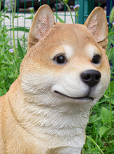 Load image into Gallery viewer, Shiba Inu Sitting Statue
