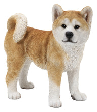 Load image into Gallery viewer, Akita Dog Standing Statue
