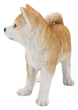 Load image into Gallery viewer, Akita Dog Standing Statue
