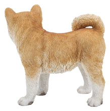 Load image into Gallery viewer, Akita Dog Standing Statue
