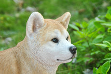 Load image into Gallery viewer, Akita Dog Standing Statue
