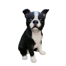 Load image into Gallery viewer, Chic Boston Charmer: Polyresin Figurine in Black and White
