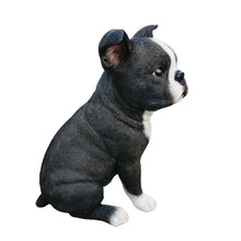 Load image into Gallery viewer, Chic Boston Charmer: Polyresin Figurine in Black and White

