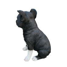 Load image into Gallery viewer, Chic Boston Charmer: Polyresin Figurine in Black and White
