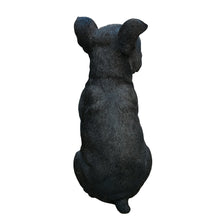 Load image into Gallery viewer, Chic Boston Charmer: Polyresin Figurine in Black and White
