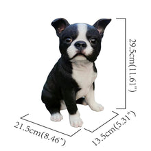 Load image into Gallery viewer, Chic Boston Charmer: Polyresin Figurine in Black and White
