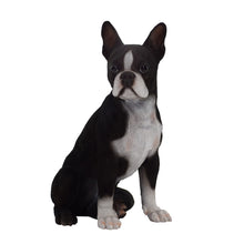 Load image into Gallery viewer, Boston Terrier
