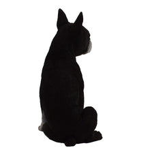 Load image into Gallery viewer, Boston Terrier
