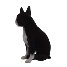 Load image into Gallery viewer, Boston Terrier
