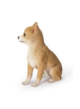 Load image into Gallery viewer, Sitting Chihuahua

