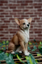 Load image into Gallery viewer, Sitting Chihuahua
