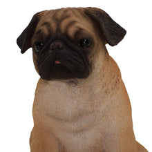 Load image into Gallery viewer, Sitting Pug
