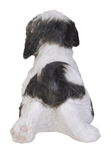 Load image into Gallery viewer, Shih Tzu Lying Down - Black/White

