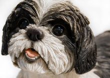 Load image into Gallery viewer, Shih Tzu Lying Down - Black/White

