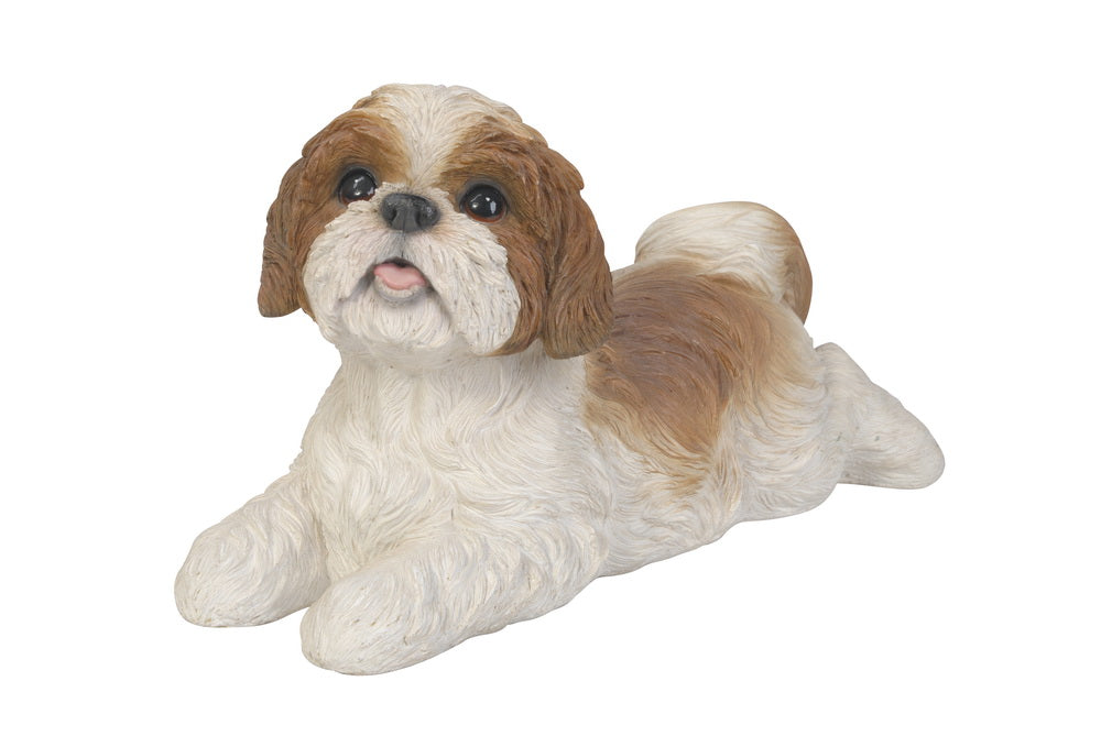 Shih Tzu Lying Down - Brown/White