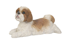Load image into Gallery viewer, Shih Tzu Lying Down - Brown/White
