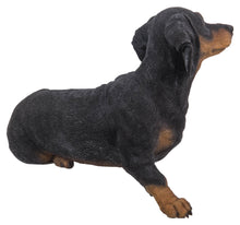 Load image into Gallery viewer, Dachshund
