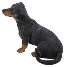 Load image into Gallery viewer, Dachshund
