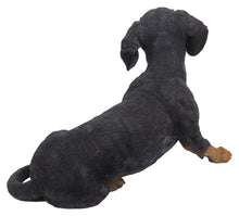 Load image into Gallery viewer, Dachshund
