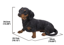 Load image into Gallery viewer, Dachshund

