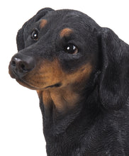 Load image into Gallery viewer, Dachshund
