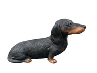 Soreal - Dachshund Black