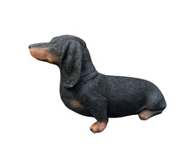 Load image into Gallery viewer, Soreal - Dachshund Black
