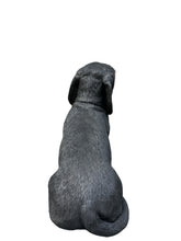 Load image into Gallery viewer, Soreal - Dachshund Black
