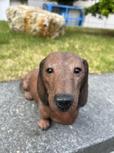 Load image into Gallery viewer, Soreal - Dachshund Brown
