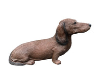 Soreal - Dachshund Brown