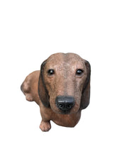 Load image into Gallery viewer, Soreal - Dachshund Brown
