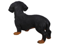 Load image into Gallery viewer, Standing Dachshund Statue
