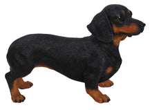 Load image into Gallery viewer, Standing Dachshund Statue
