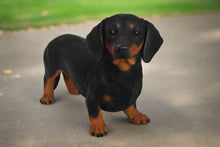 Load image into Gallery viewer, Standing Dachshund Statue

