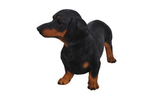 Load image into Gallery viewer, Standing Dachshund Statue
