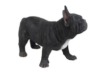 Load image into Gallery viewer, French Bulldog Statue
