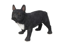 Load image into Gallery viewer, French Bulldog Statue
