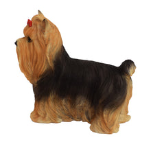 Load image into Gallery viewer, Yorkshire Terrier Statue
