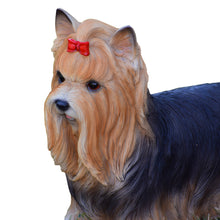 Load image into Gallery viewer, Yorkshire Terrier Statue
